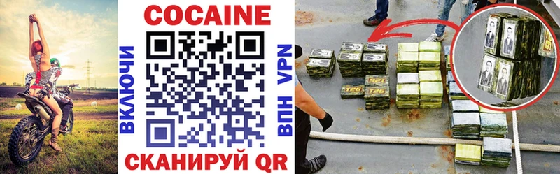 Купить где  Елизово  COCAIN 99% 