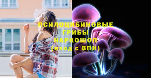 spice Богородицк