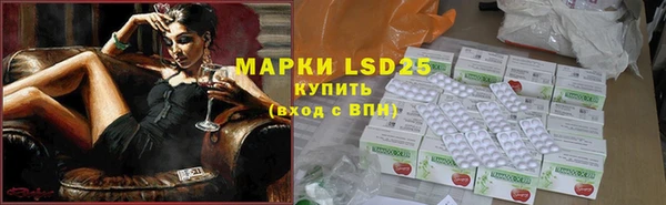spice Богородицк