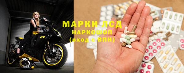 spice Богородицк