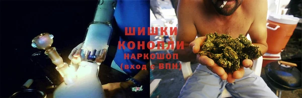 spice Богородицк