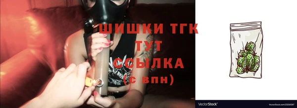 spice Богородицк