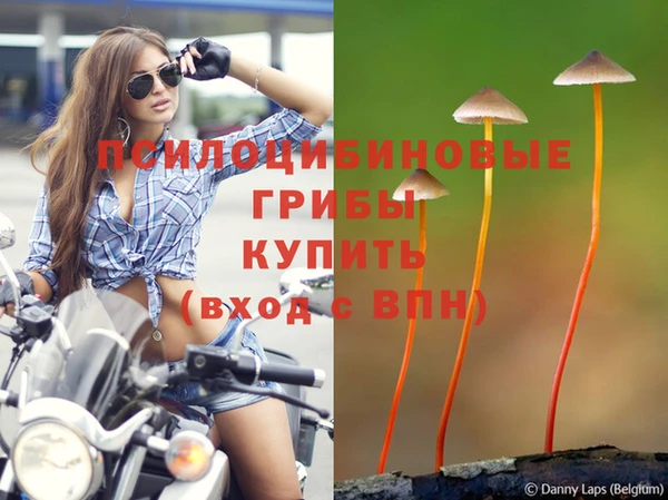 первитин Богородск