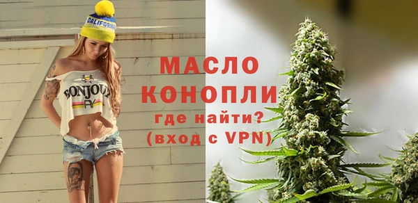 spice Богородицк