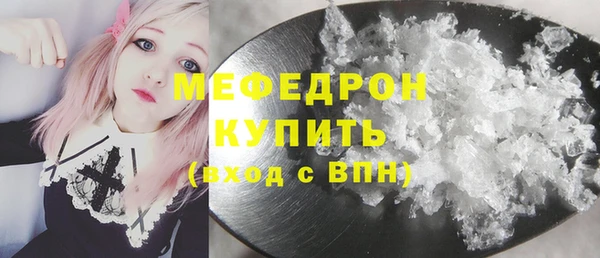 spice Богородицк
