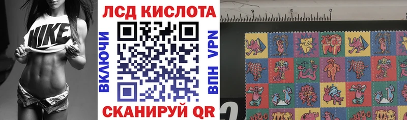 Марки N-bome 1500мкг  Купить где  Елизово 