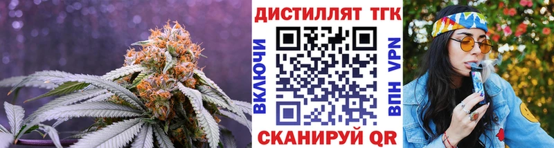 Купить закладки Елизово ТГК концентрат