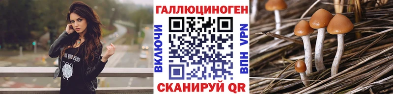 Купить где  Елизово  Галлюциногенные грибы ЛСД 